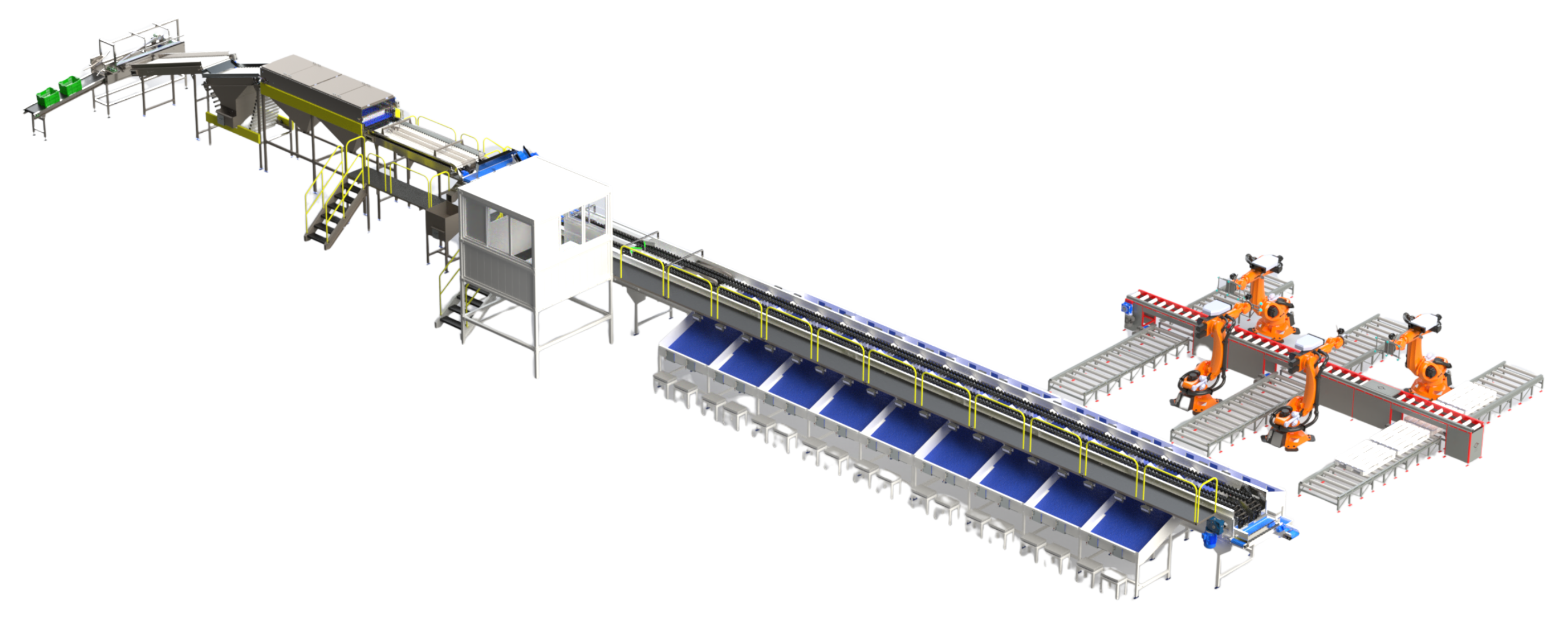Línea completa LORA con recepción, preparación, clasificación, empaque y paletizado