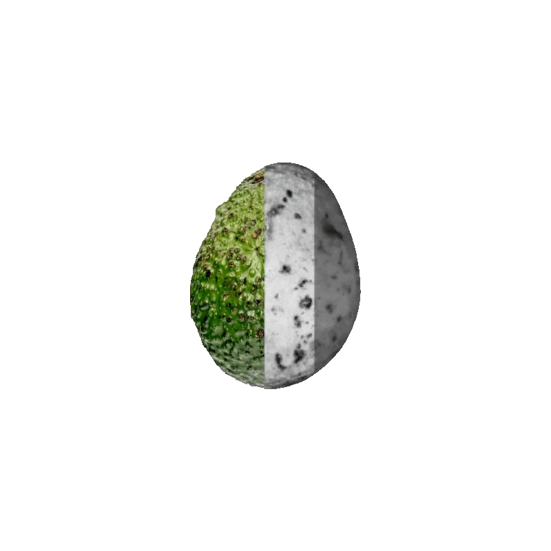 Aguacate lista para analizar